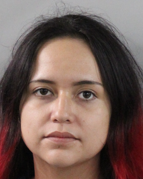 Mugshot of MADELINE ROSE SNYDER