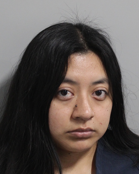 Mugshot of MARLENE GOMEZ-RIVERIA
