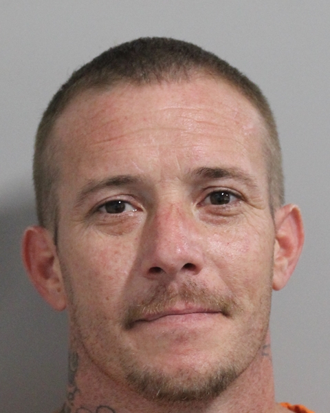 Mugshot of THOMAS B LEE