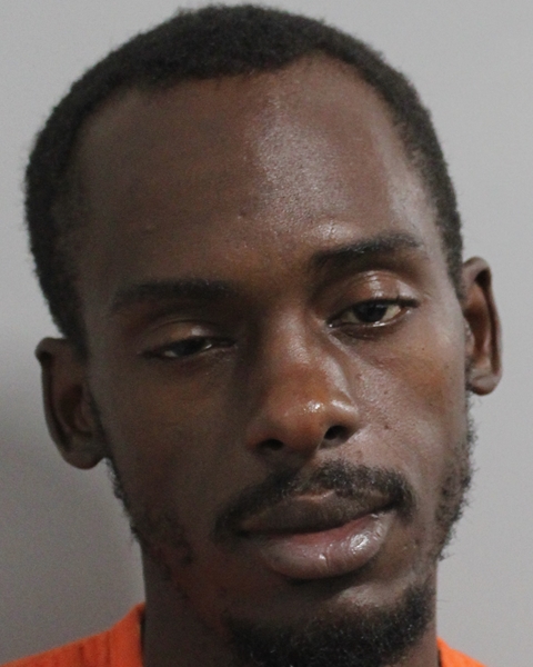 Mugshot of FREDRICK LYDELL LEE