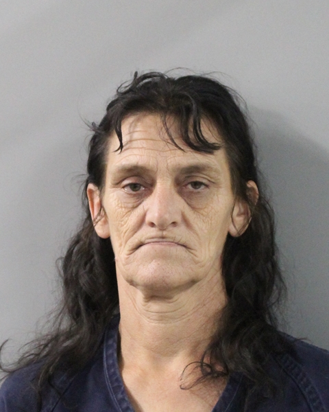 Mugshot of VERONICA MELSON