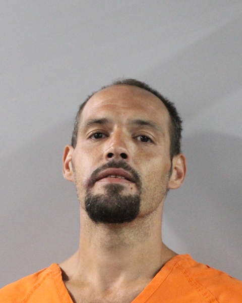 Mugshot of JOHN MARSHALL TEAL