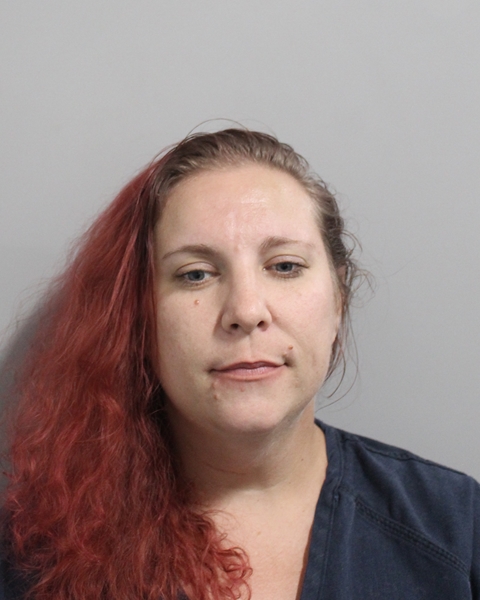 Mugshot of RACHAEL LYNN FIDUCIA