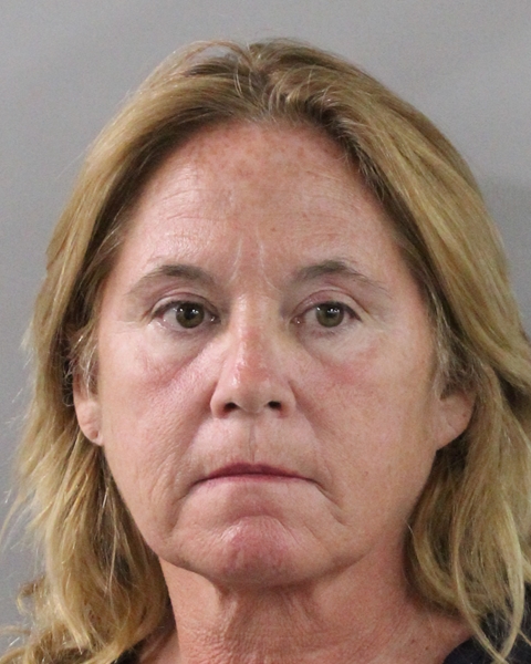 Mugshot of REBECCA LYNN DA SILVA