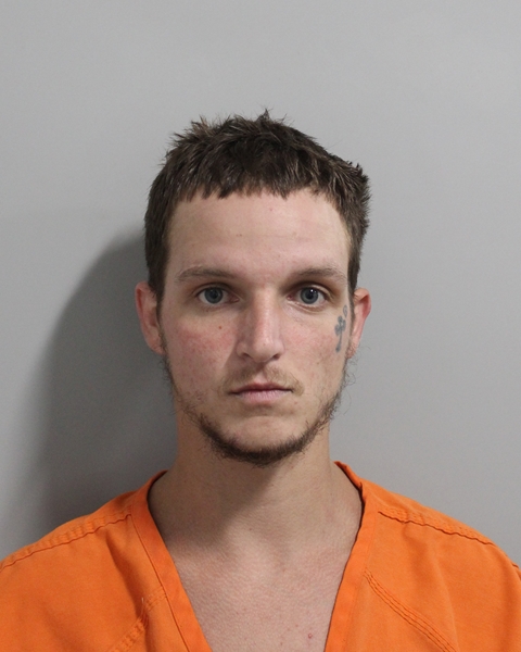 Mugshot of MICHAEL D BROWN