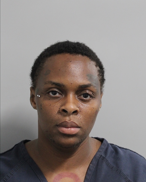 Mugshot of APALONIA LAQUANA BRIMMER