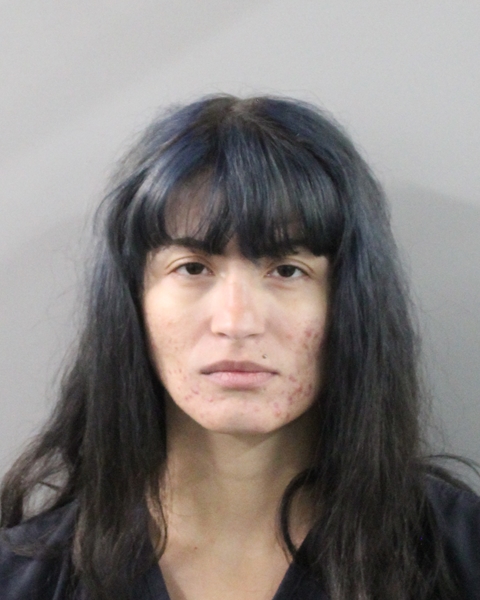 Mugshot of AILEMA CARRALERO