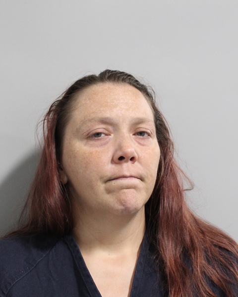 Mugshot of ASHLEY JADE BRADING