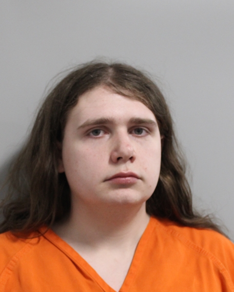 Mugshot of RYAN BRALEY