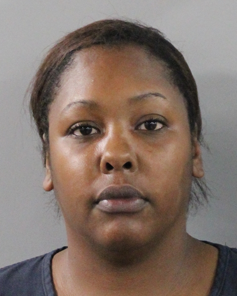 Mugshot of ASHLEY A BRUNDIDGE