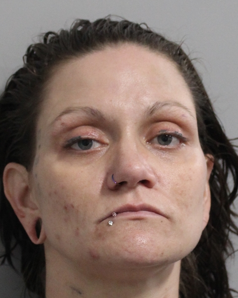Mugshot of ARIANNA JONES