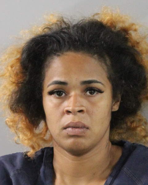 Mugshot of TAYLOR SHAWNYCE JOHNSON