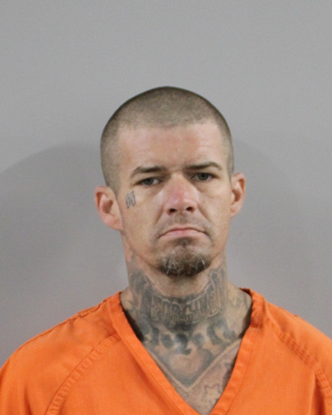Mugshot of CHRISTOPHER MOSES