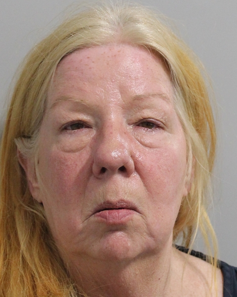 Mugshot of MELISSA MCKINNEY