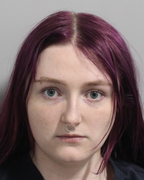 Mugshot of JAYDEN LYNN HARRIS