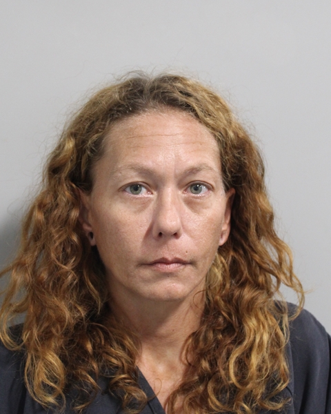 Mugshot of LORI ELIZABETH CLEM