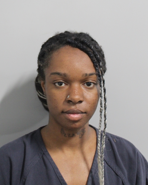 Mugshot of DEASIA ARMONIE JOHNSON