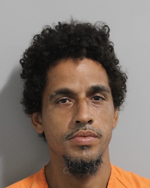 Mugshot of LUIS DANIEL TORRES REYES