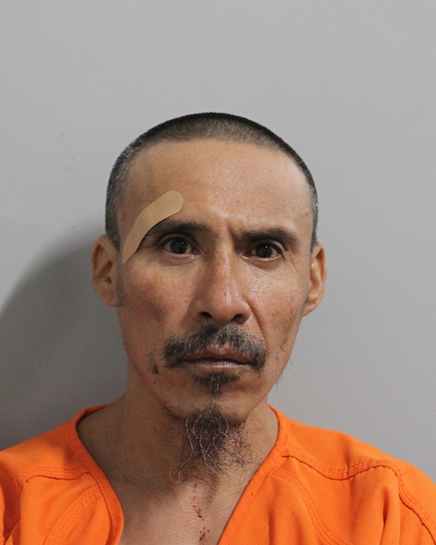 Mugshot of ISIDRO MEDINA ALVAREZ