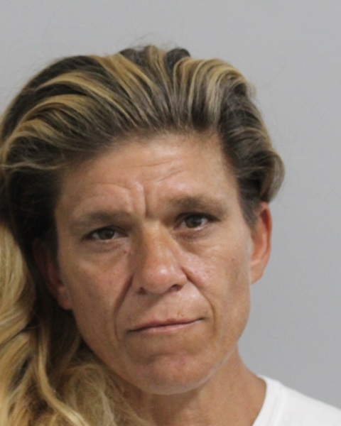 Mugshot of BRANDY LYNN THOMPSON