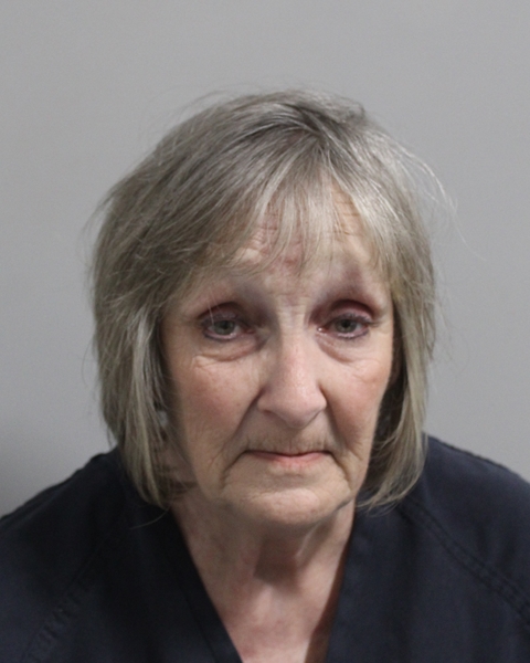 Mugshot of MARY PATRICIA BREDEWEG