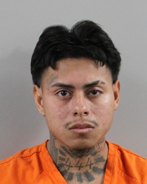 Mugshot of MAYNOR CARRASCO RODRIGUEZ