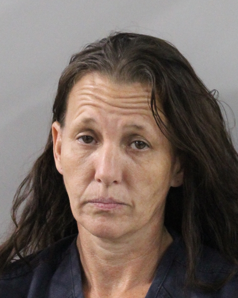 Mugshot of GINGER LYNN MEDDERS