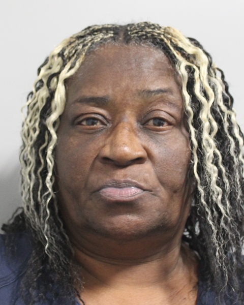 Mugshot of TINA MICHELLE JOYCE