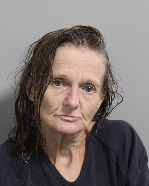 Mugshot of MERRY CHRISTIE BALL