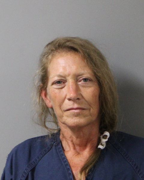 Mugshot of JOY MARIE BRUNO