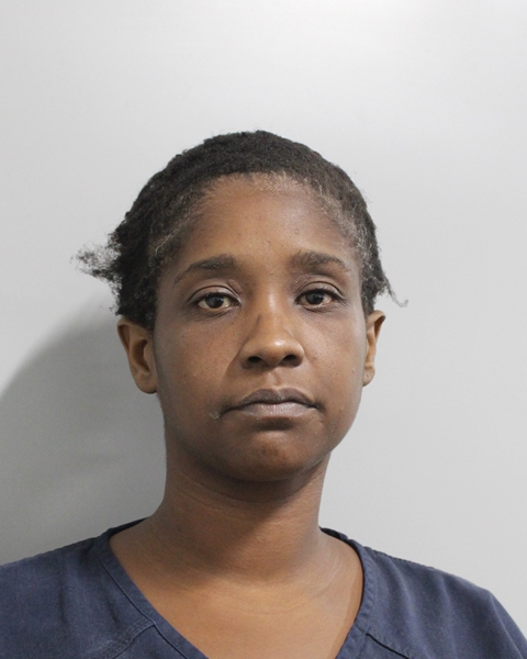 Mugshot of JERMILLA ASHAUNITA BROWN