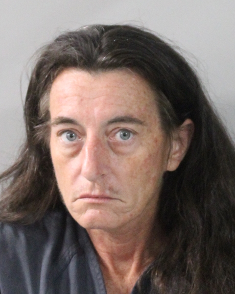 Mugshot of HEATHER MARIE ADAMS