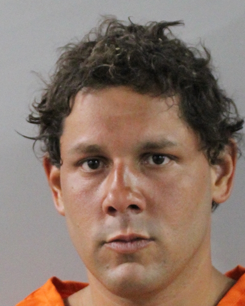 Mugshot of JOHAN CAVAILHON