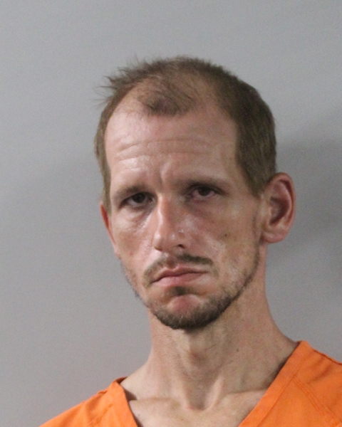 Mugshot of MARTIN BRYSON