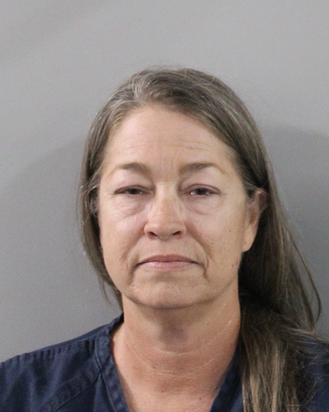 Mugshot of AMY LYNN HILL