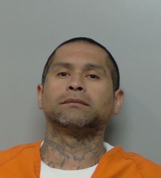 Mugshot of FRANCISCO ANTONIO ALVAREZ