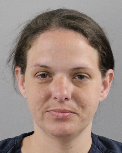 Mugshot of ROBIN LEE DELGADO