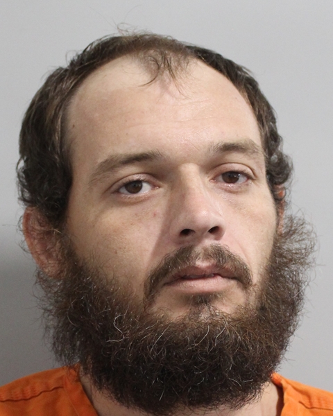 Mugshot of TROY LANE BULLARD
