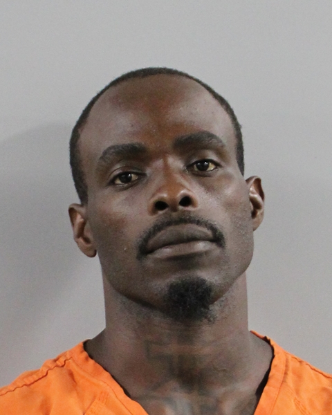 Mugshot of JACQUES PAULSON DALMAS