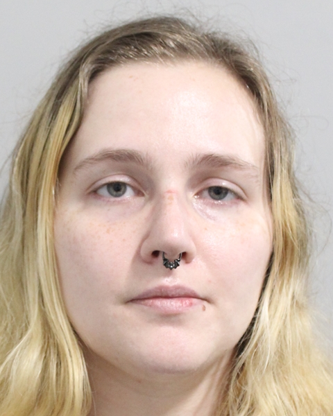 Mugshot of NICOLE COLLINS