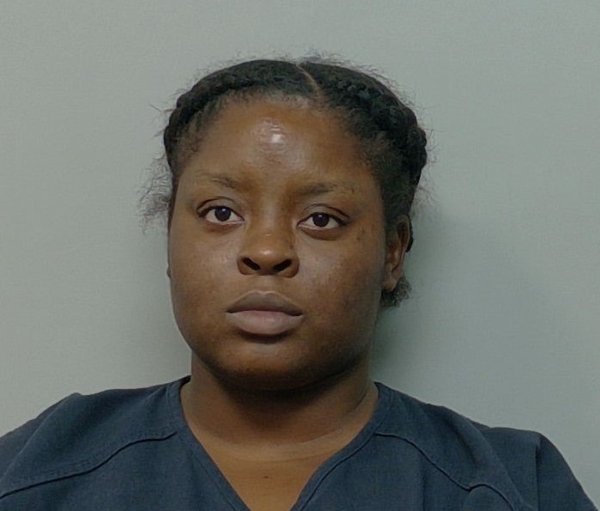 Mugshot of ASHLEY BODISON