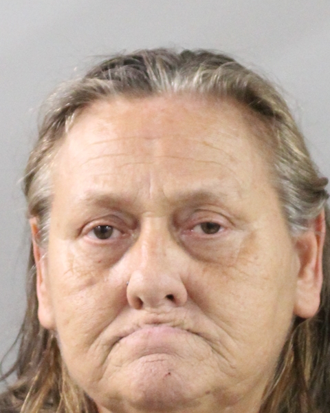 Mugshot of ALISHA ADDISON