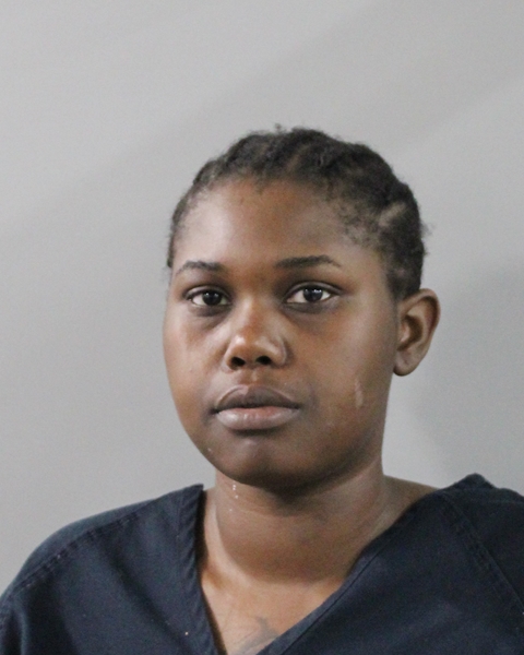Mugshot of GESSELYN DENISE CHOULOUTE