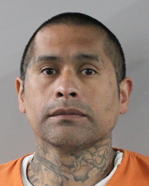Mugshot of FRANCISCO ANTONIO ALVAREZ