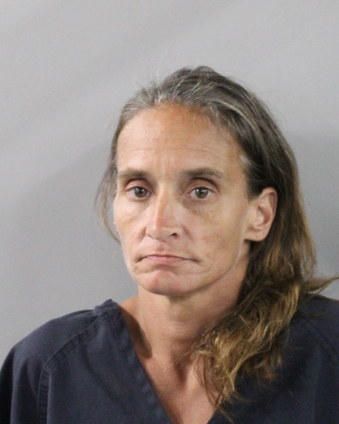 Mugshot of CRYSTAL LEE DAVIS