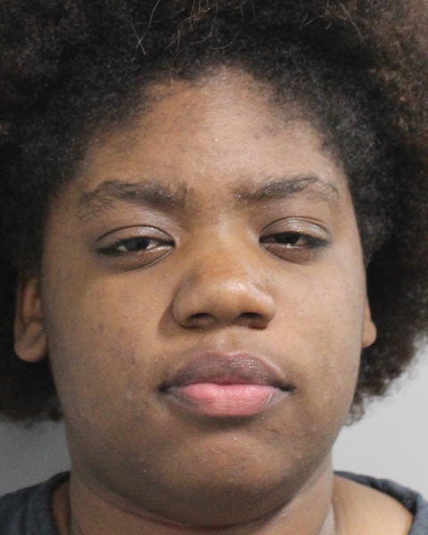 Mugshot of ANAYIA SADE NEWSON