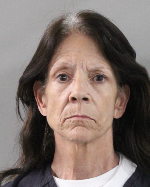 Mugshot of ANNA MARIE WOLFE