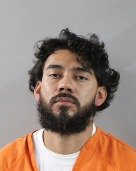 Mugshot of PEDRO HERNANDEZ