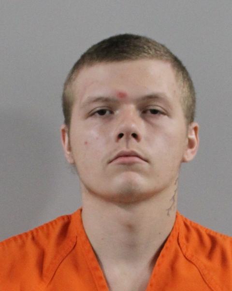 Mugshot of LOGAN REISING