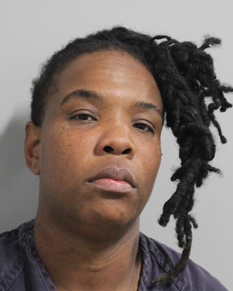 Mugshot of VONSHA ROBINSON